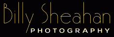 Sheahan logo